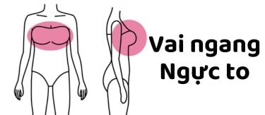 vai ngang ngực to