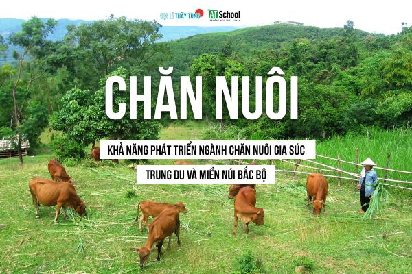 Khả năng phát triển ngành chăn nuôi gia súc Trung du và miền núi Bắc Bộ