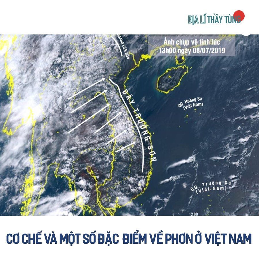 Cơ chế và một số đặc điểm về phơn ở Việt Nam