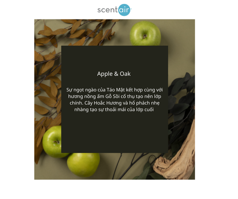 Apple & Oak Scent - Sự ấm áp của Táo Mật & Gỗ Sồi