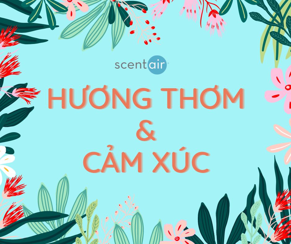 Quyền năng của mùi hương với tâm lý và cảm xúc của con người Quyền năng của mùi hương với tâm lý và cảm xúc của con người