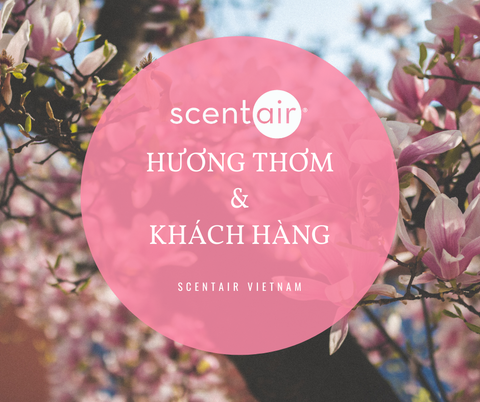 Không Khí Ảnh Hưởng Như Thế Nào Đến Khách Hàng?