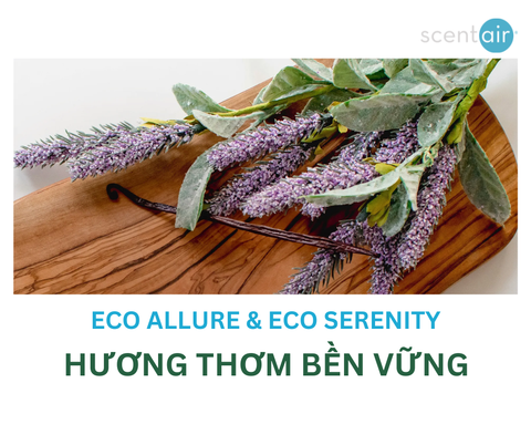 ScentAir Mở Đường Mới với Hương Thơm Bền Vững và Hộp Đựng tái Chế
