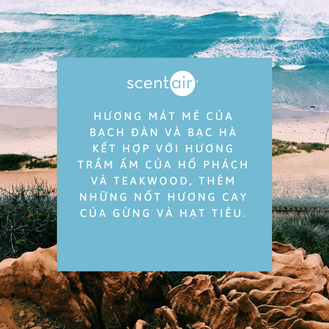 Australian Coast - Beach Scent