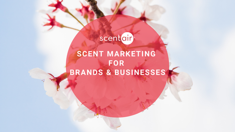 Bí quyết chọn hương thơm phù hợp với thương hiệu của bạn trong Scent marketing