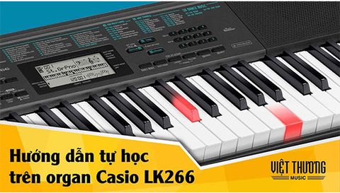 Đàn Organ Casio LK-266 - Ươm mầm tài năng âm nhạc nhí