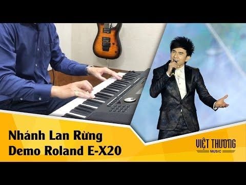 Demo Style RUMBA3 trên đàn organ Roland E-X20