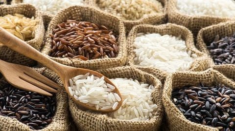 CÁC LOẠI GẠO KHÁC NHAU VÀ CÁCH SỬ DỤNG PHÙ HỢP