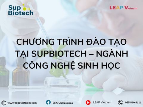 Chương Trình Đào Tạo tại SupBiotech – Hướng Đi Lý Tưởng Cho Tương Lai Ngành Công Nghệ Sinh Học