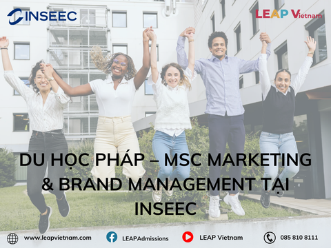 Du học Pháp – MSc Marketing & Brand Management tại INSEEC