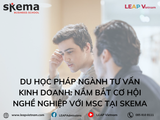 Du học Pháp ngành Tư vấn Kinh doanh: Nắm bắt cơ hội nghề nghiệp với MSc tại SKEMA