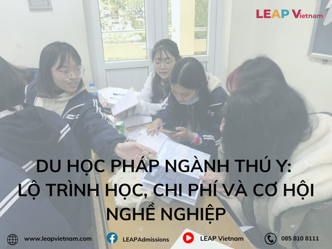 Du học Pháp ngành Thú y: Lộ trình học, chi phí và cơ hội nghề nghiệp