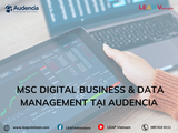 Du học Pháp ngành Kinh doanh số & Quản trị dữ liệu – MSc Digital Business & Data Management tại Audencia