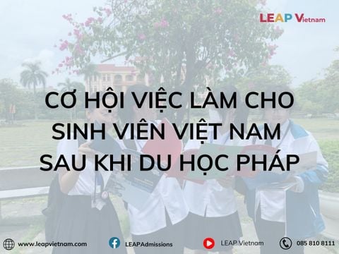 Cơ Hội Việc Làm Cho Sinh Viên Việt Nam Sau Khi Du Học Pháp