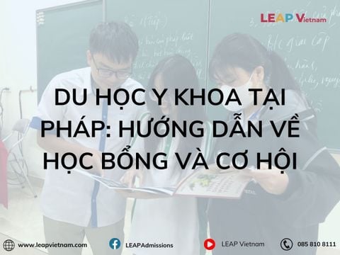 Du Học Y Khoa Tại Pháp: Hướng Dẫn Toàn Diện về Học Bổng và Cơ Hội