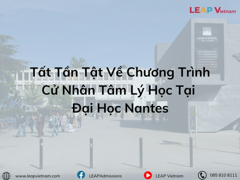 Tất Tần Tật Về Chương Trình Cử Nhân Tâm Lý Học Tại Đại Học Nantes