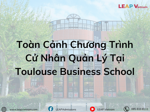 Toàn Cảnh Chương Trình Cử Nhân Quản Lý Tại Toulouse Business School