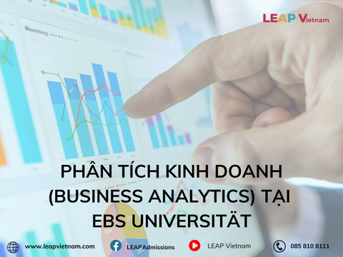 Phân Tích Kinh Doanh (Business Analytics) Tại EBS Universität