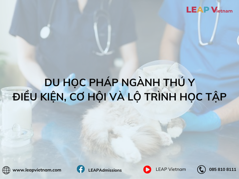 Du Học Pháp Ngành Thú Y: Điều Kiện, Cơ Hội Và Lộ Trình Học Tập