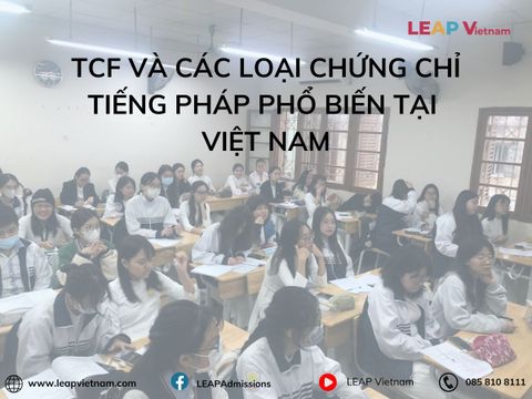 TCF Và Các Loại Chứng Chỉ Tiếng Pháp Phổ Biến Tại Việt Nam