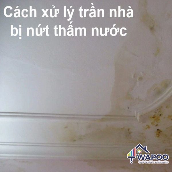 cách chống thấm trần nhà