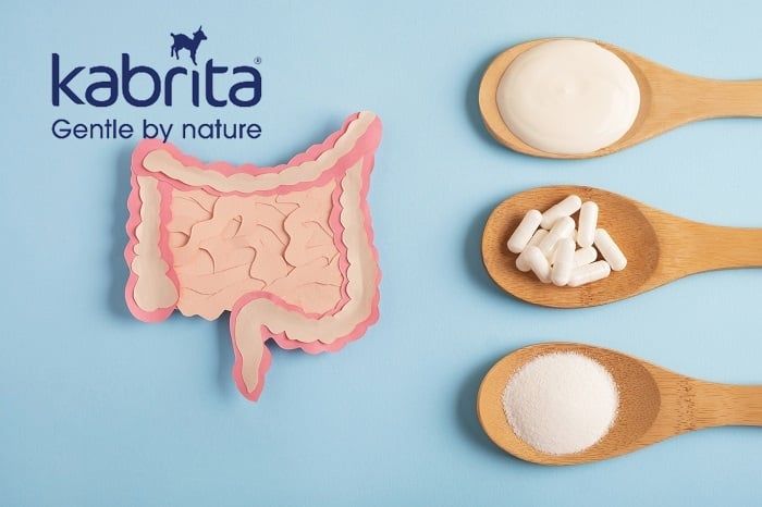 Probiotics và Prebiotics là gì? Cách phân biệt đơn giản