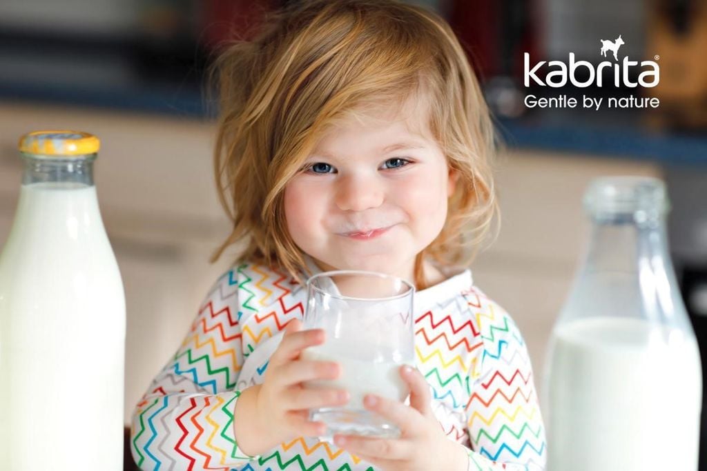 Cách pha và bảo quản sữa dê công thức Kabrita