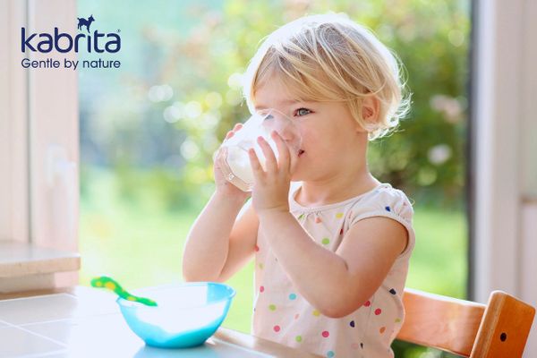 Bật mí 6 lý do mẹ không nên bỏ qua sữa dê cho trẻ