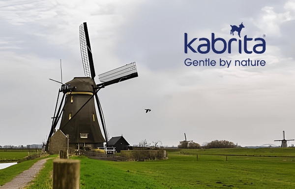 Di sản Hà Lan - Nền tảng cho sự phát triển ngành sản xuất sữa