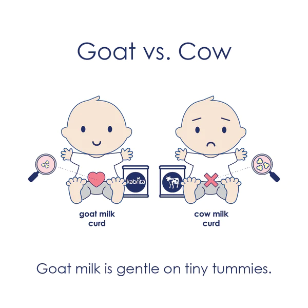 Sữa dê hay sữa bò tốt hơn? Ưu, nhược điểm sữa dê và sữa bò