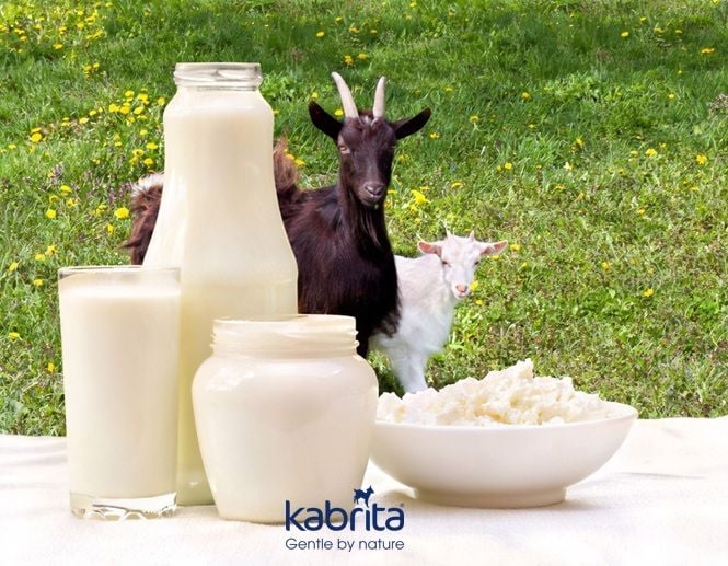 Mua sữa dê chính hãng ở đâu? Top các nhà cung cấp sữa dê uy tín tại Việt Nam