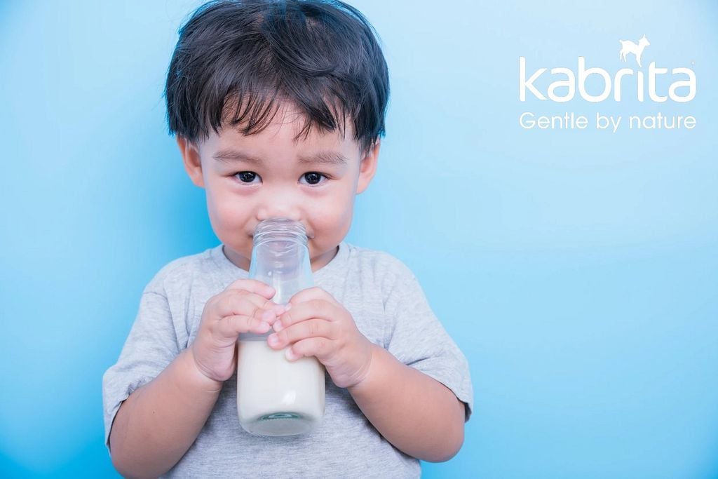 Những chú dê Kabrita có gì đặc biệt để cho ra dòng sữa chất lượng?