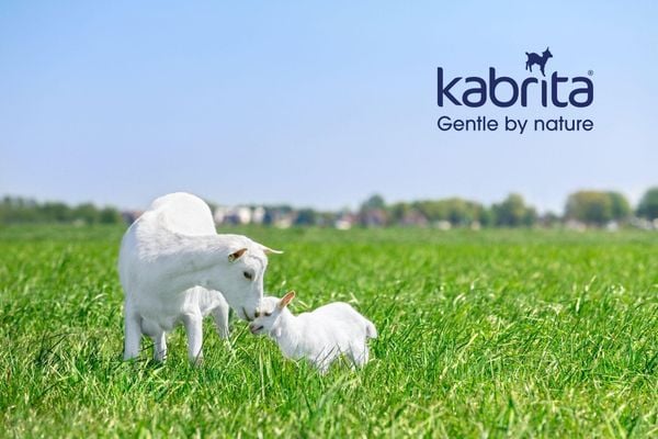 100 năm kinh nghiệm của kabrita