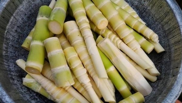 ăn măng có thể gây mất sữa