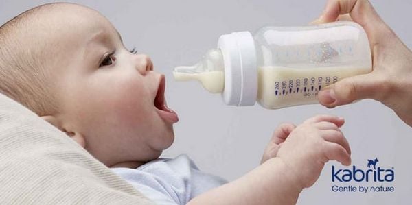 các loại sữa non phổ biến hiện nay