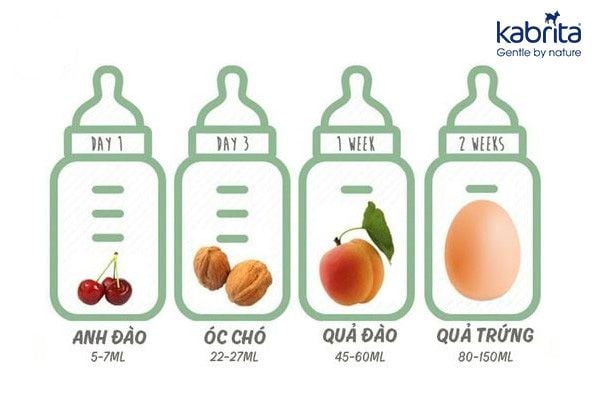 kích thước dạ dày trẻ sơ sinh