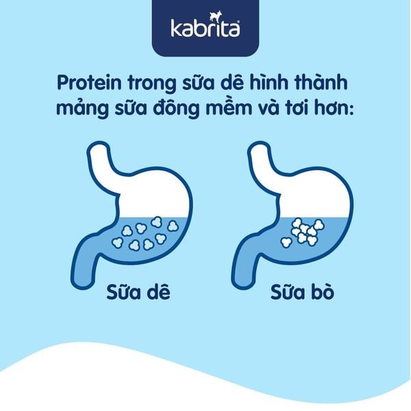 sữa dê hay sữa bò tốt hơn