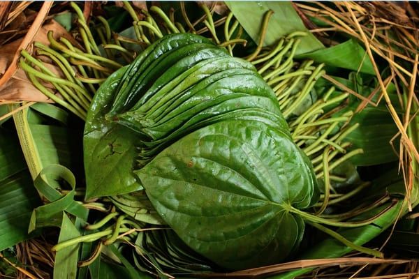 cách xông hơi sau sinh bằng lá trầu không