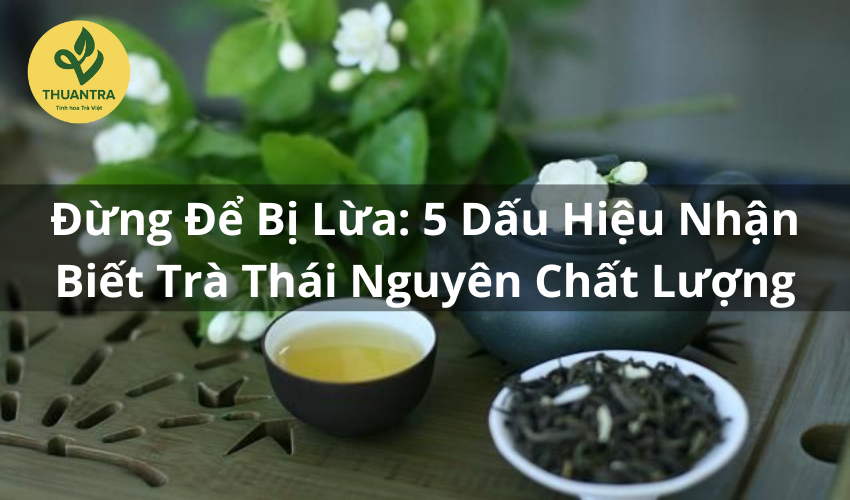 Đừng Để Bị Lừa: 5 Dấu Hiệu Nhận Biết Trà Thái Nguyên Chất Lượng