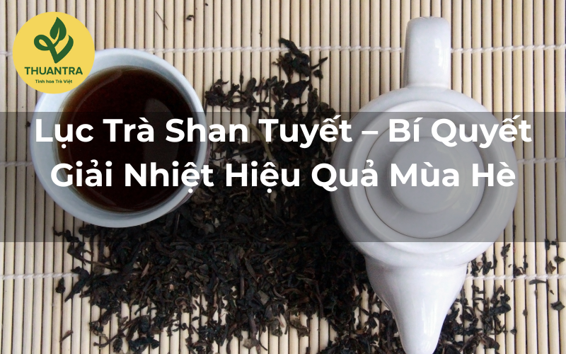 Lục Trà Shan Tuyết – Bí Quyết Giải Nhiệt Hiệu Quả Mùa Hè