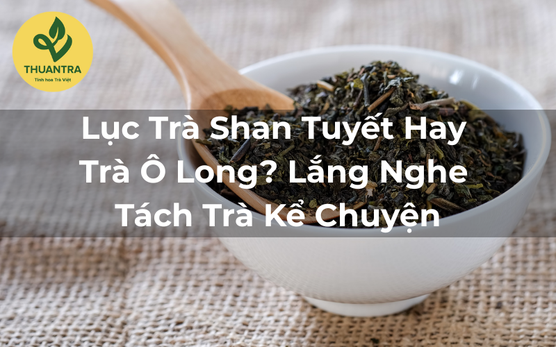 Lục Trà Shan Tuyết Hay Trà Ô Long? Lắng Nghe Tách Trà Kể Chuyện