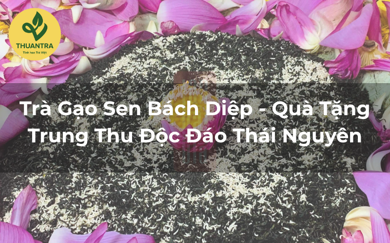 Trà Gạo Sen Bách Diệp - Quà Tặng Trung Thu Độc Đáo Thái Nguyên
