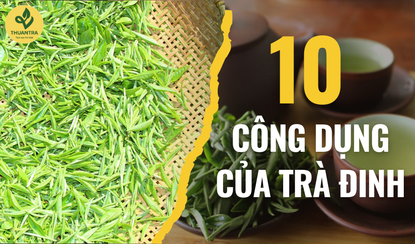 10 Công dụng của trà Đinh hỗ trợ hiệu quả cho sức khỏe của bạn