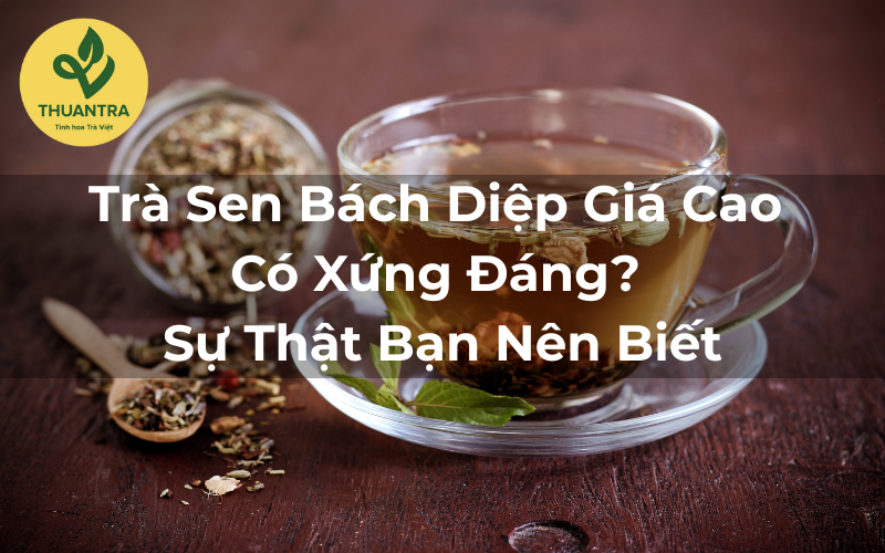 Trà Sen Bách Diệp Giá Cao Có Xứng Đáng? Sự Thật Bạn Nên Biết