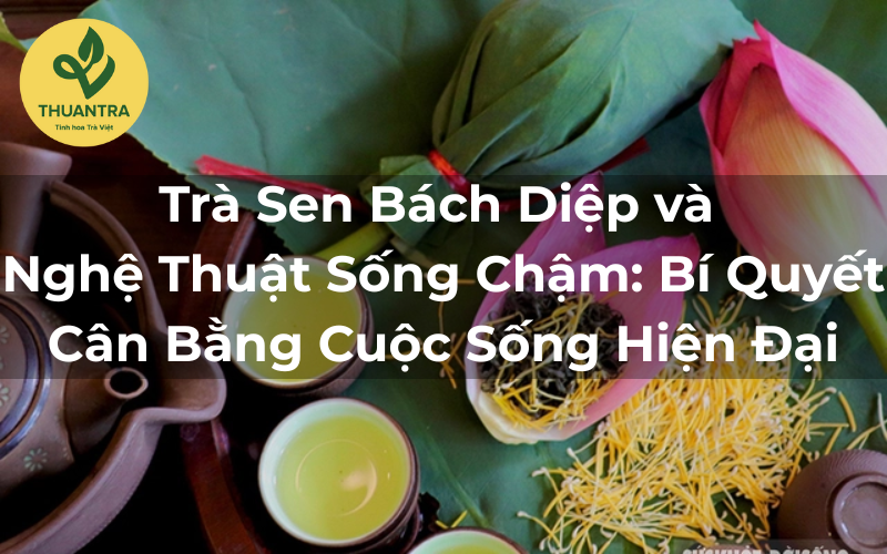 Trà Sen Bách Diệp và Nghệ Thuật Sống Chậm: Bí Quyết Cân Bằng Cuộc Sống Hiện Đại