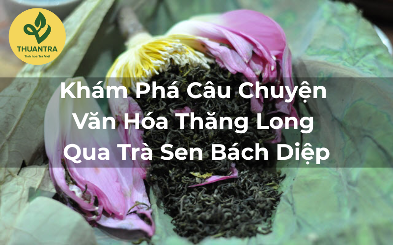 Khám Phá Câu Chuyện Văn Hóa Thăng Long Qua Trà Sen Bách Diệp