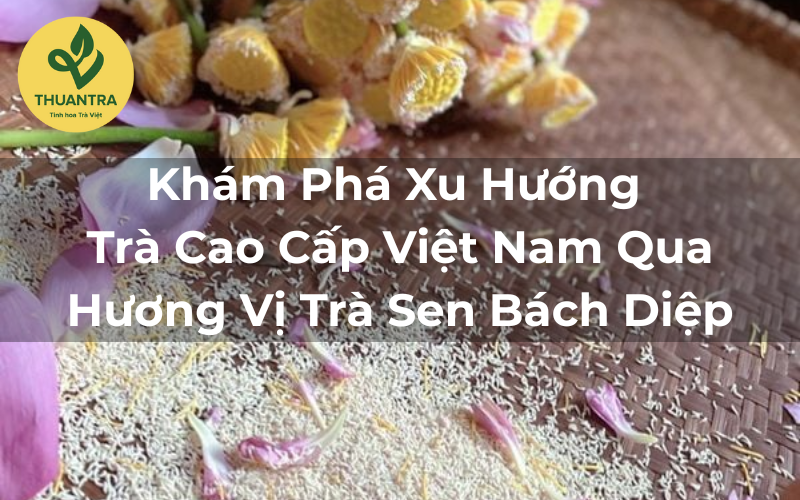Khám Phá Xu Hướng Trà Cao Cấp Việt Nam Qua Hương Vị Trà Sen Bách Diệp