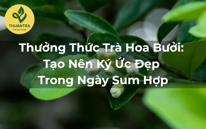 Thưởng Thức Trà Hoa Bưởi: Tạo Nên Ký Ức Đẹp Trong Ngày Sum Hợp
