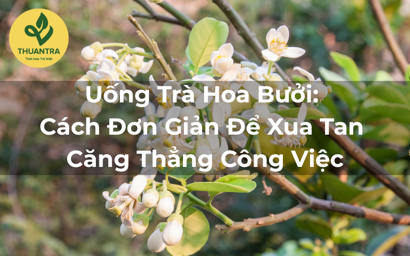 Uống Trà Hoa Bưởi: Cách Đơn Giản Để Xua Tan Căng Thẳng Công Việc