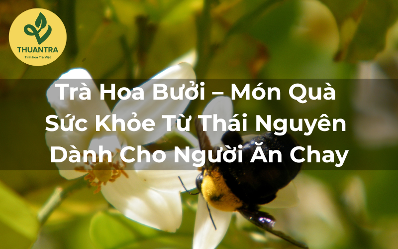 Trà Hoa Bưởi – Món Quà Sức Khỏe Từ Thái Nguyên Dành Cho Người Ăn Chay